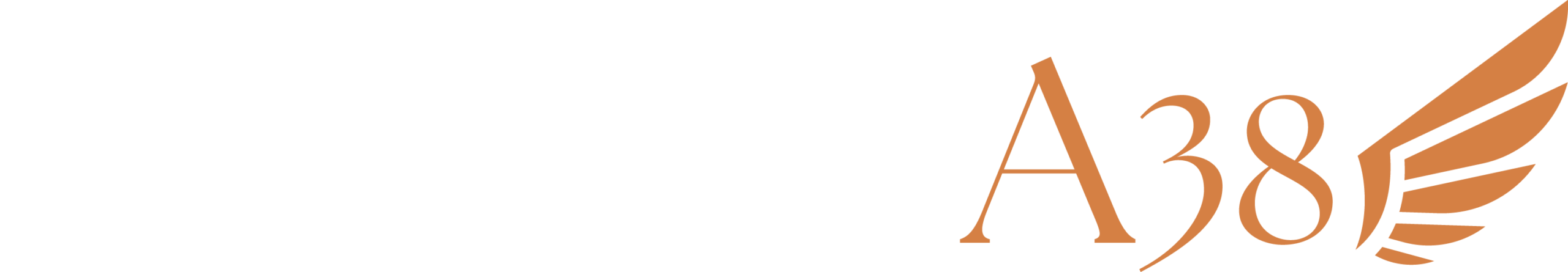 A38 Physiotherapie Logo